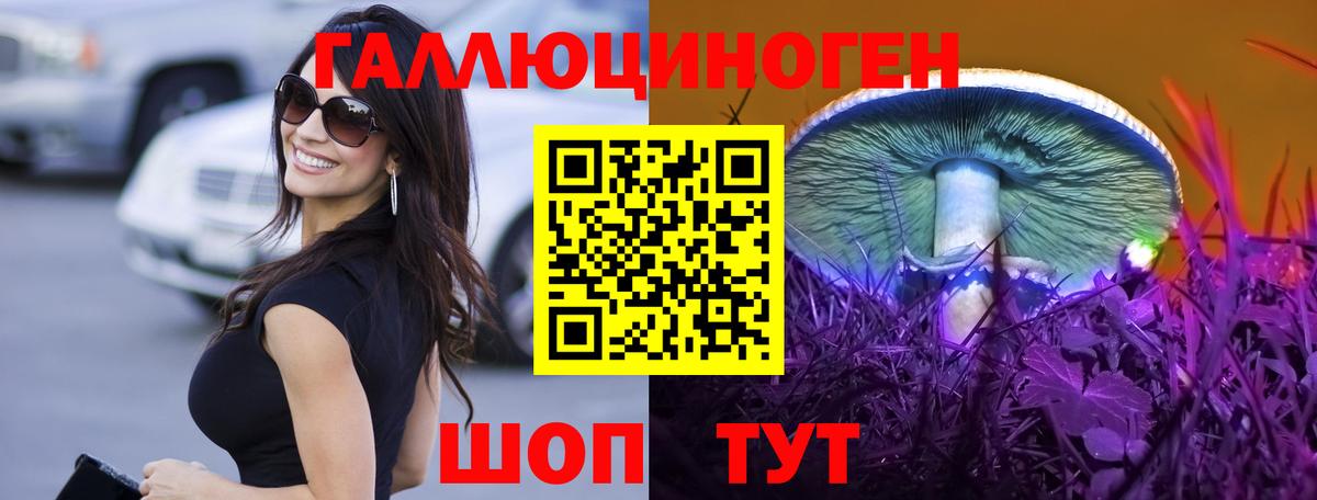 Вольск  Галлюциногенные грибы Psilocybe  Галлюциногенные грибы прущие грибы  Вход с VPN 